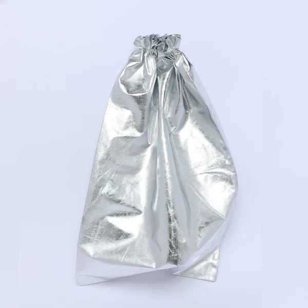 Big Shiny Silver Bag